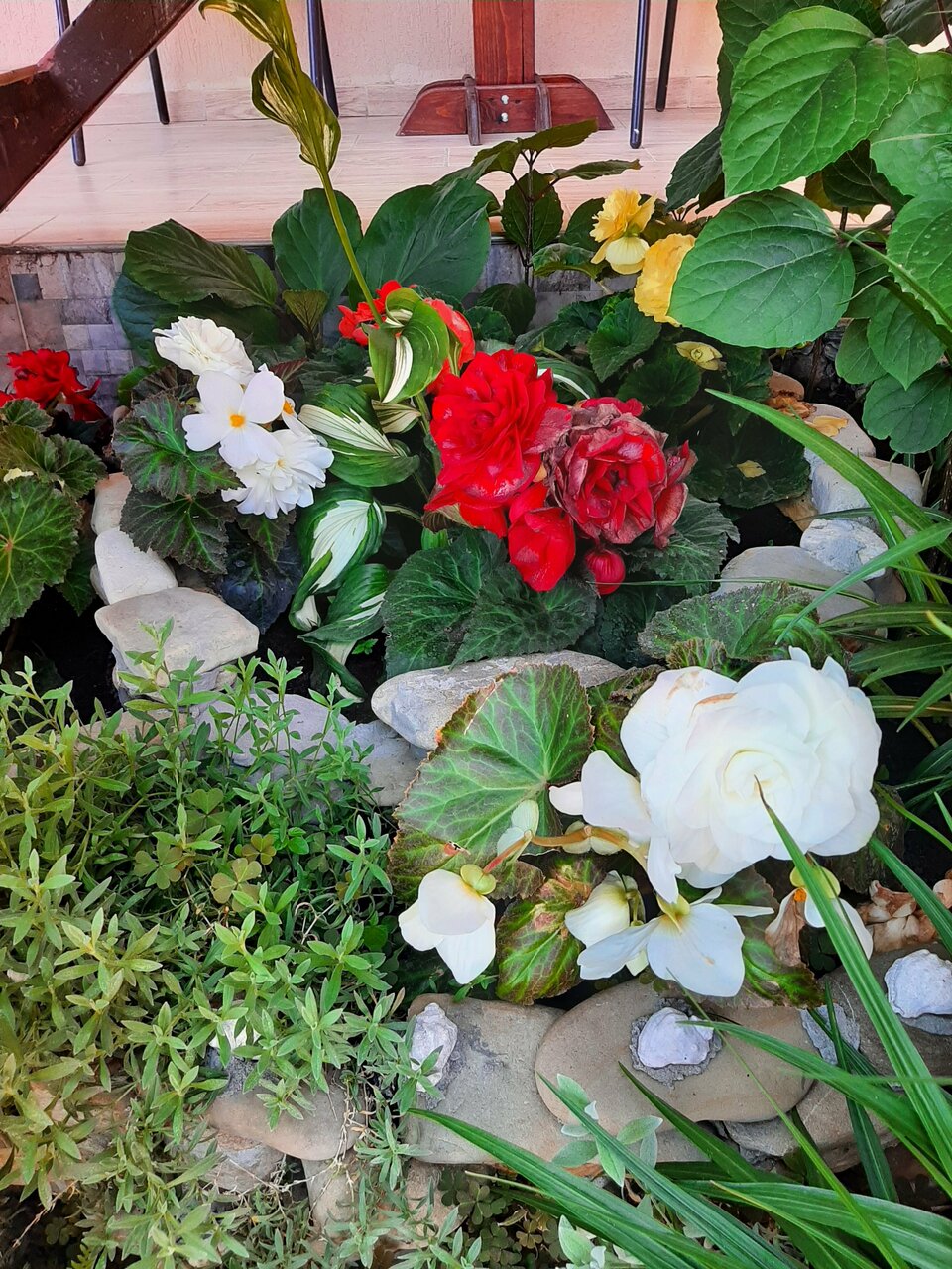 Гостиница Санрайз Джубга