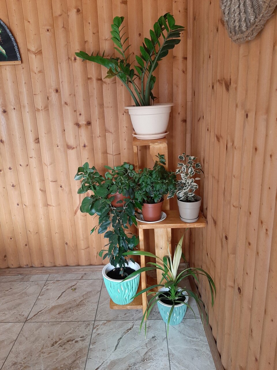 Гостиница Санрайз Джубга-21