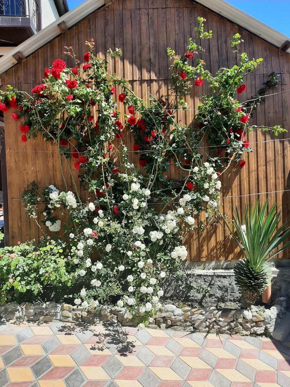 Гостиница Санрайз Джубга