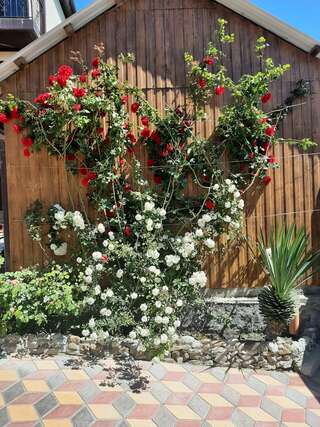 Гостиница Санрайз Джубга Двухместный номер с 1 кроватью и видом на море-12