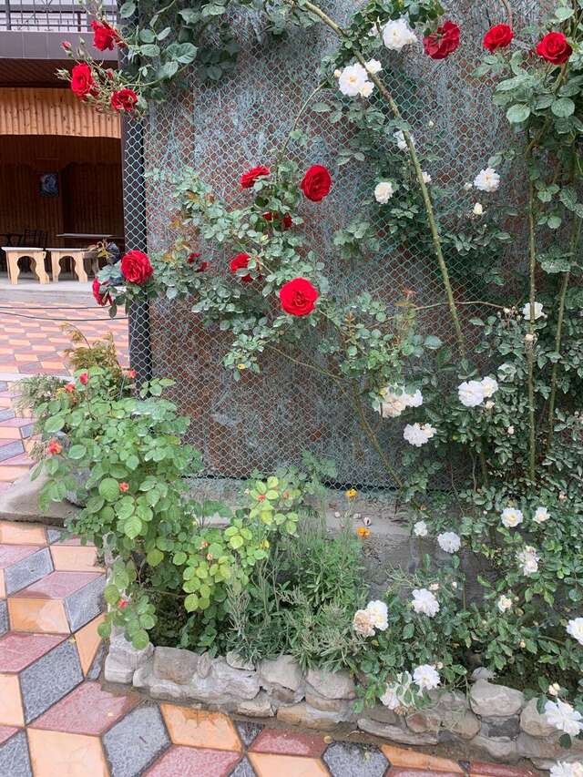 Гостиница Санрайз Джубга-33