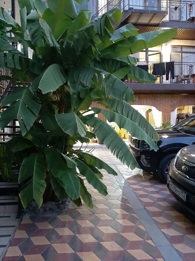 Гостиница Санрайз Джубга-61