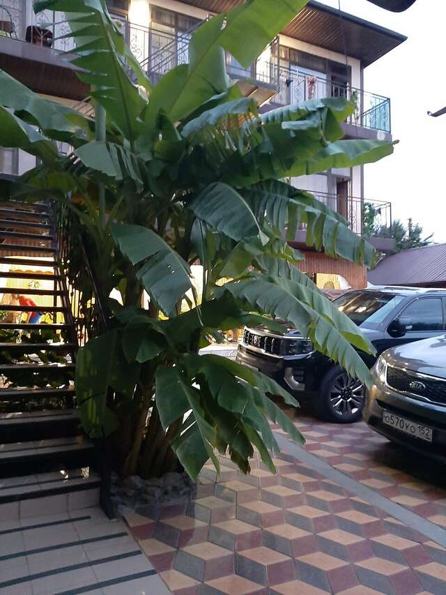 Гостиница Санрайз Джубга-30