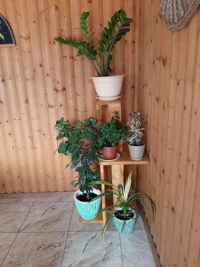 Гостиница Санрайз Джубга-20